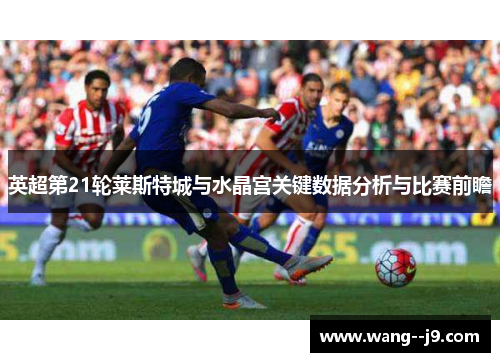 英超第21轮莱斯特城与水晶宫关键数据分析与比赛前瞻 英超第21轮莱斯特城与水晶宫关键数据分析与比赛前瞻
