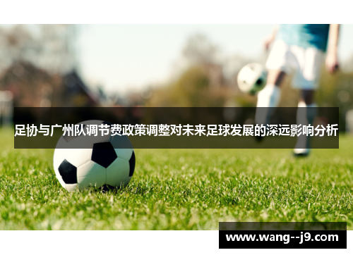 足协与广州队调节费政策调整对未来足球发展的深远影响分析 足协与广州队调节费政策调整对未来足球发展的深远影响分析