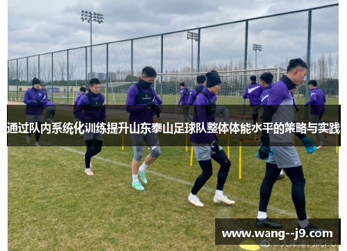 通过队内系统化训练提升山东泰山足球队整体体能水平的策略与实践