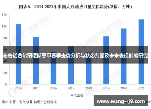 布鲁诺费尔南德斯意甲赛季走势分析与状态判断及未来表现前瞻研究